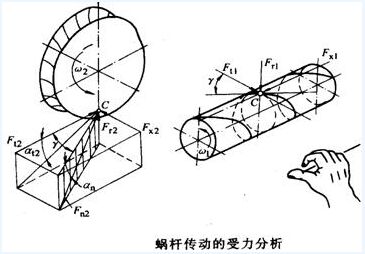 蜗轮厂家蜗轮